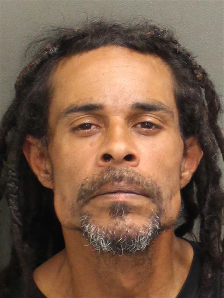  ROBERT MITCHELL JR KING Mugshot / County Arrests / Orange County Arrests