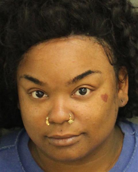  ALEXIS ROSE YORKER Photo Image