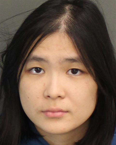  YIFEI CHEN Photo Image