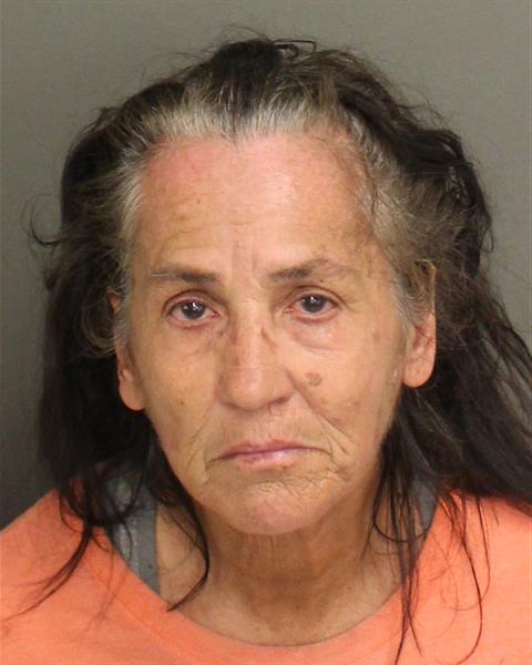  LISA ANNETTE CRAW SCHMIDT Mugshot / County Arrests / Orange County Arrests