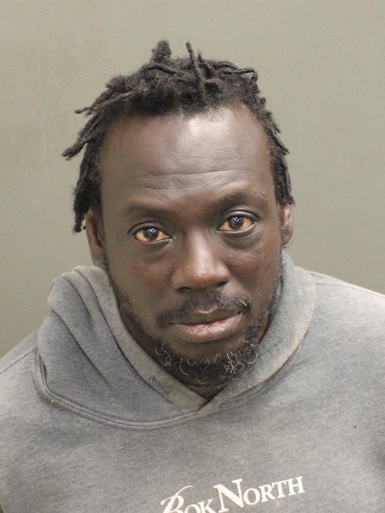  JAMES LEONARD JR HAMPTON Mugshot / County Arrests / Orange County Arrests