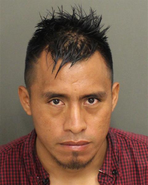  ARTURO FEDERICO SALESCHANAY Mugshot / County Arrests / Orange County Arrests