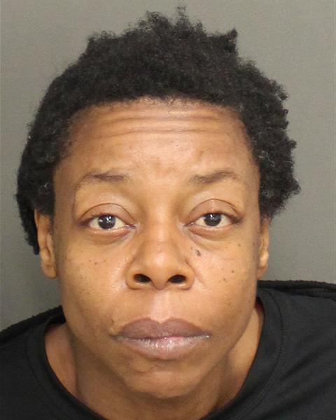  CINDY DENISE WRIGHT Mugshot / County Arrests / Orange County Arrests