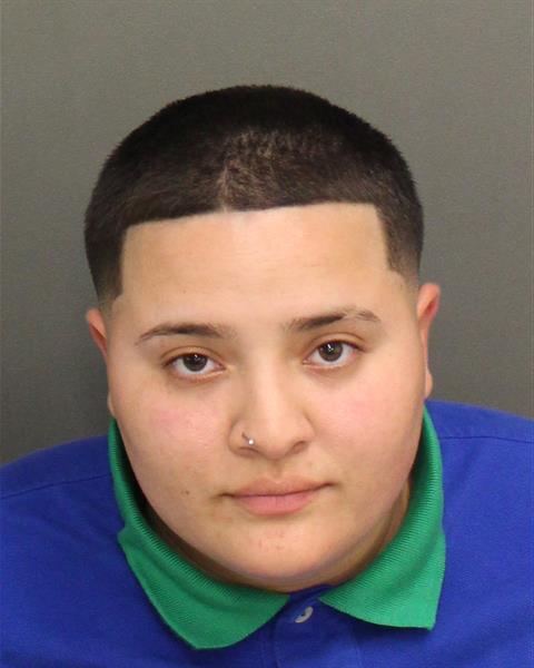  AMARIS DALIAH PINEIRO Mugshot / County Arrests / Orange County Arrests