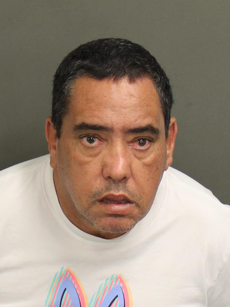  JULIO P HERNANDEZ Mugshot / County Arrests / Orange County Arrests