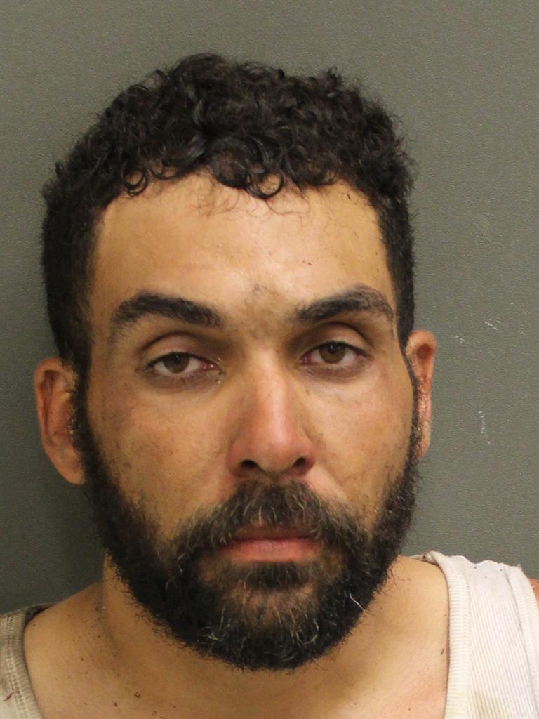  LUIS FRATERNAL RODRIGUEZ Mugshot / County Arrests / Orange County Arrests