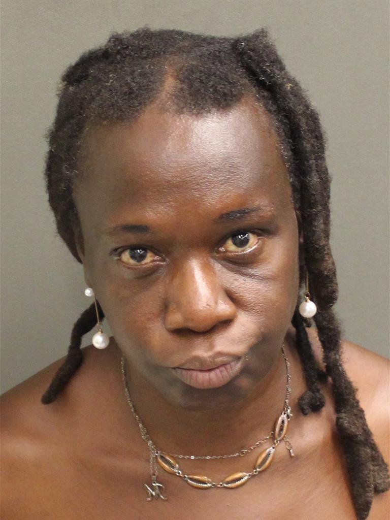  TASHA MARIE CHANG Mugshot / County Arrests / Orange County Arrests