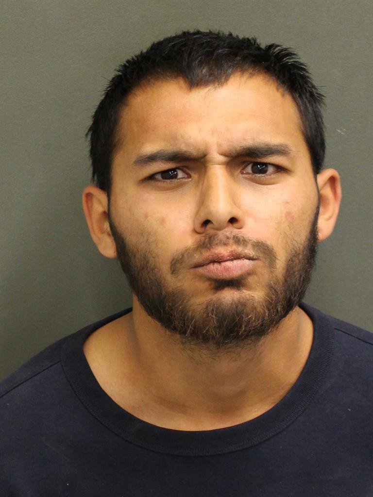  AUSTIN SAUCEDA Mugshot / County Arrests / Orange County Arrests