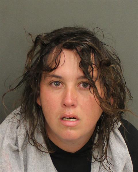  BRITTANY LYNN WEISS Mugshot / County Arrests / Orange County Arrests