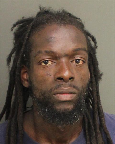  LESLU HENRY Mugshot / County Arrests / Orange County Arrests