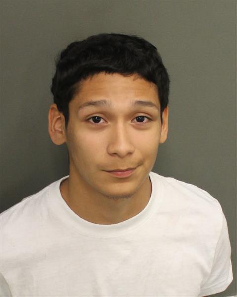  ISAEL ANTONIO CASTILLO Mugshot / County Arrests / Orange County Arrests
