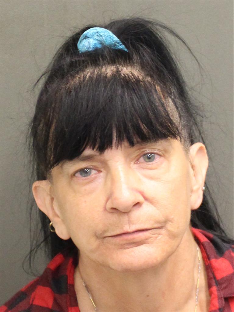  LISA ANN CATRON Mugshot / County Arrests / Orange County Arrests