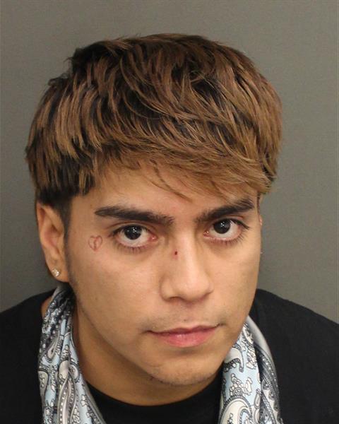  ANGEL LUIS ALICEA Mugshot / County Arrests / Orange County Arrests