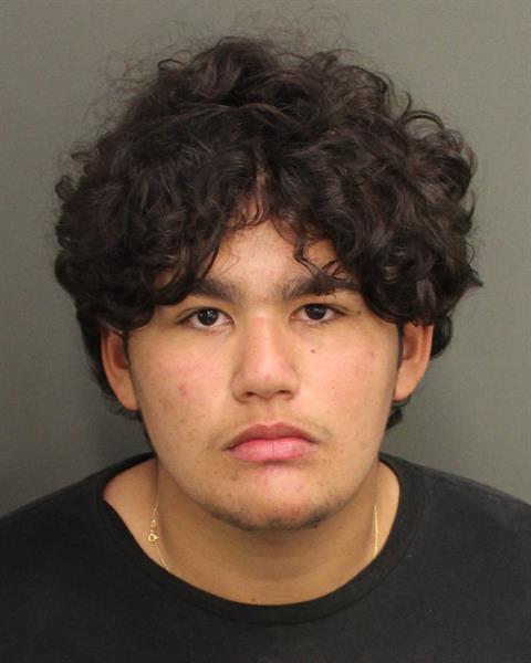  JULIO ALEJANDRO LIVINALLININO Mugshot / County Arrests / Orange County Arrests