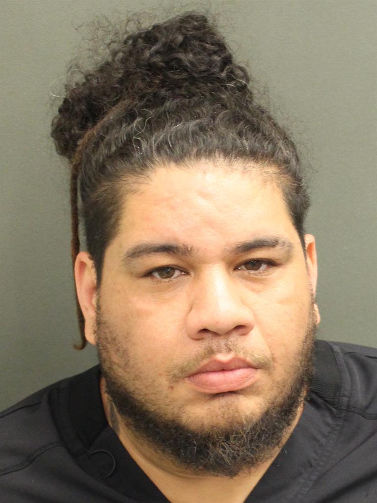  REINALDO J CORTES Mugshot / County Arrests / Orange County Arrests