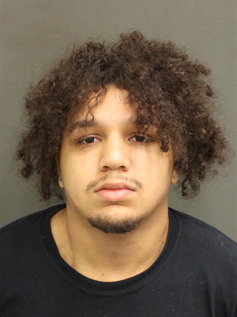  ROBERT A JR BLUE Mugshot / County Arrests / Orange County Arrests