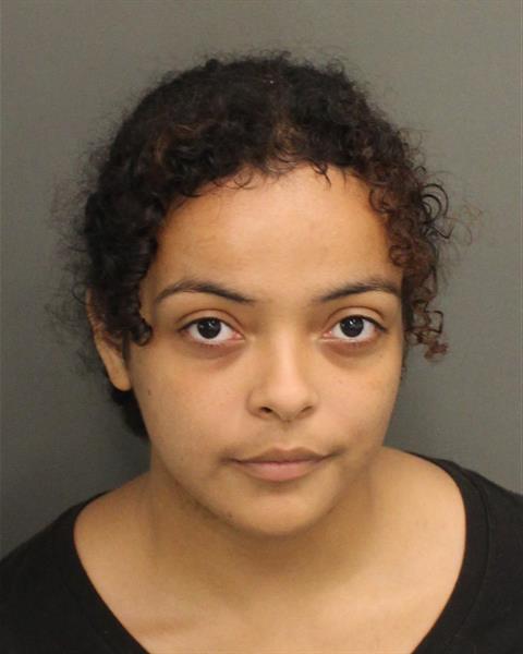  NATASHA PORTUONDO PORTUONDO Mugshot / County Arrests / Orange County Arrests