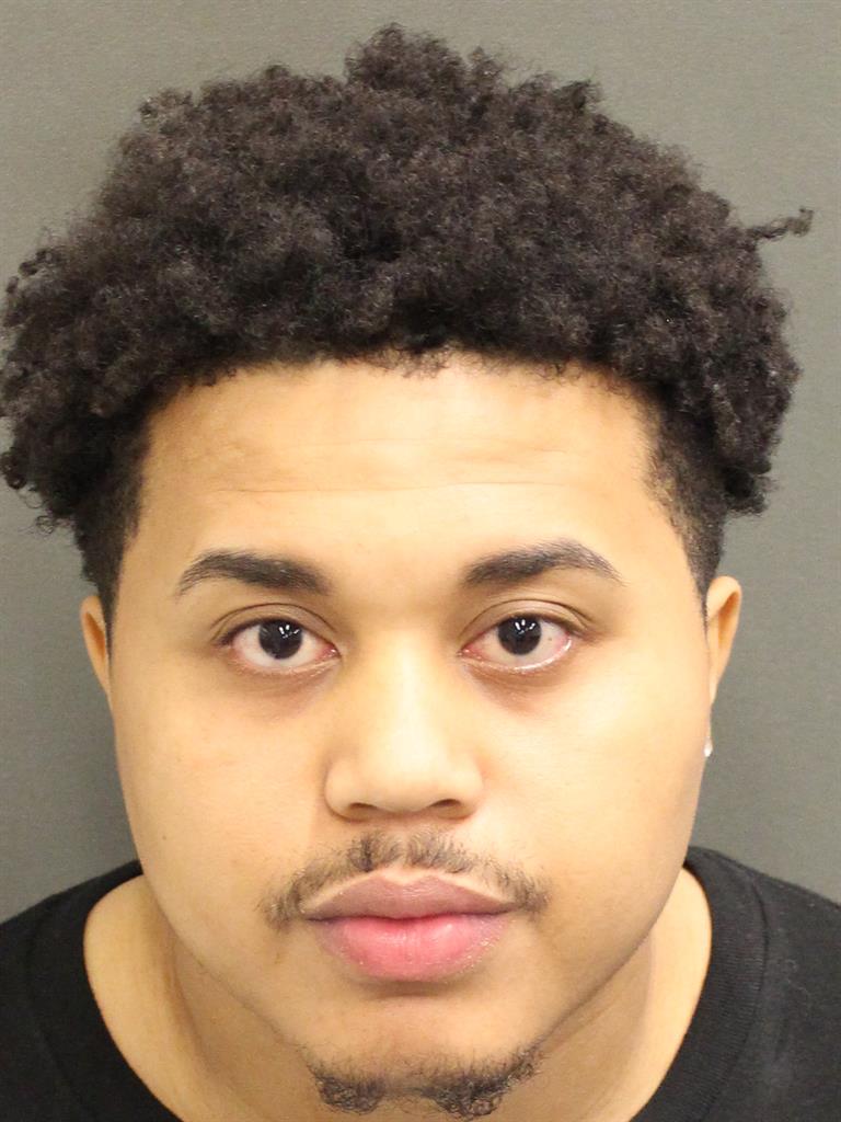  DEREK D ANGELO BOSCICO Mugshot / County Arrests / Orange County Arrests