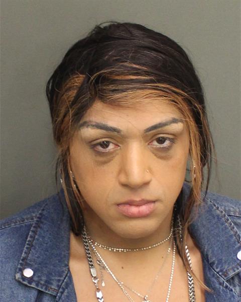  JONATHAN JOHNNY IRIZARRY Mugshot / County Arrests / Orange County Arrests