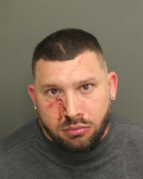  GIOVANNI ALBERTO SOLLA DEL CAMPO Mugshot / County Arrests / Orange County Arrests