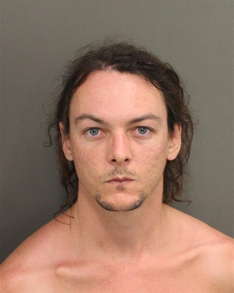  NICHOLAS FREDERICK ODENA Mugshot / County Arrests / Orange County Arrests