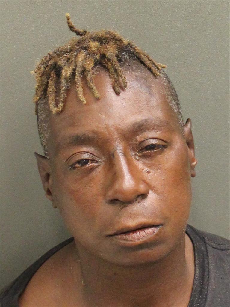 DENISE LENITTE STURGIS Mugshot DENISE LENITTE STURGIS Mugshot / County Arrests / Orange County Arrests
