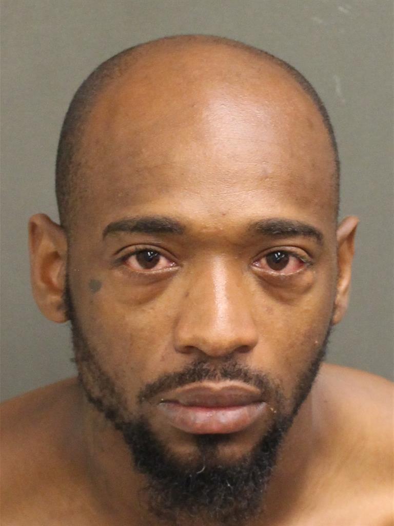  STEPFOINE MICHA LILLEY Photo Image