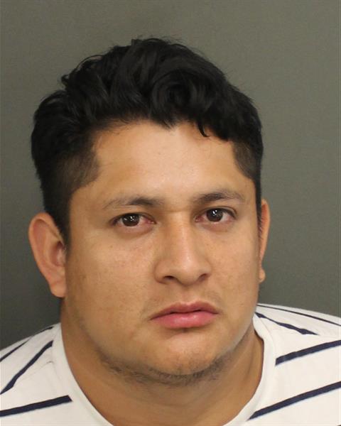  EFRAIN MARTINEZGONZALEZ Mugshot / County Arrests / Orange County Arrests