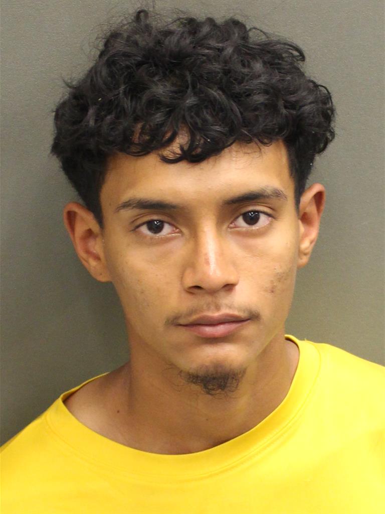 MICHAEL ALEXANDER MENDOZAPINEDA Mugshot MICHAEL ALEXANDER MENDOZAPINEDA Mugshot / County Arrests / Orange County Arrests