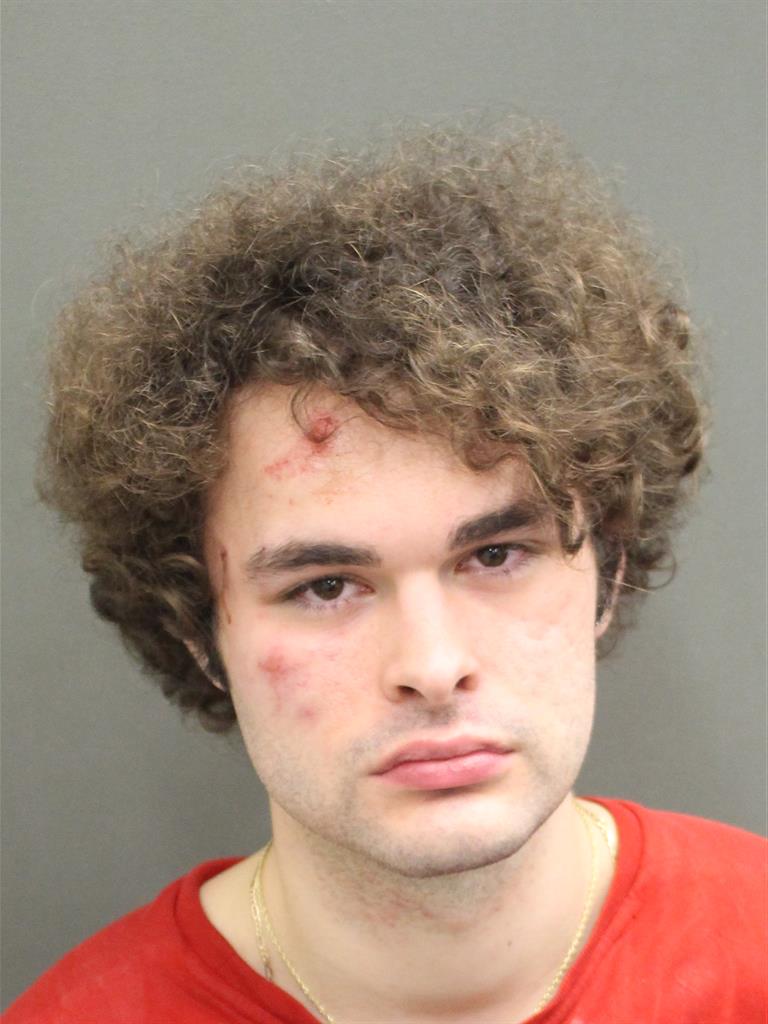  CAMERON CHRISTOPHER WILLIS Mugshot / County Arrests / Orange County Arrests