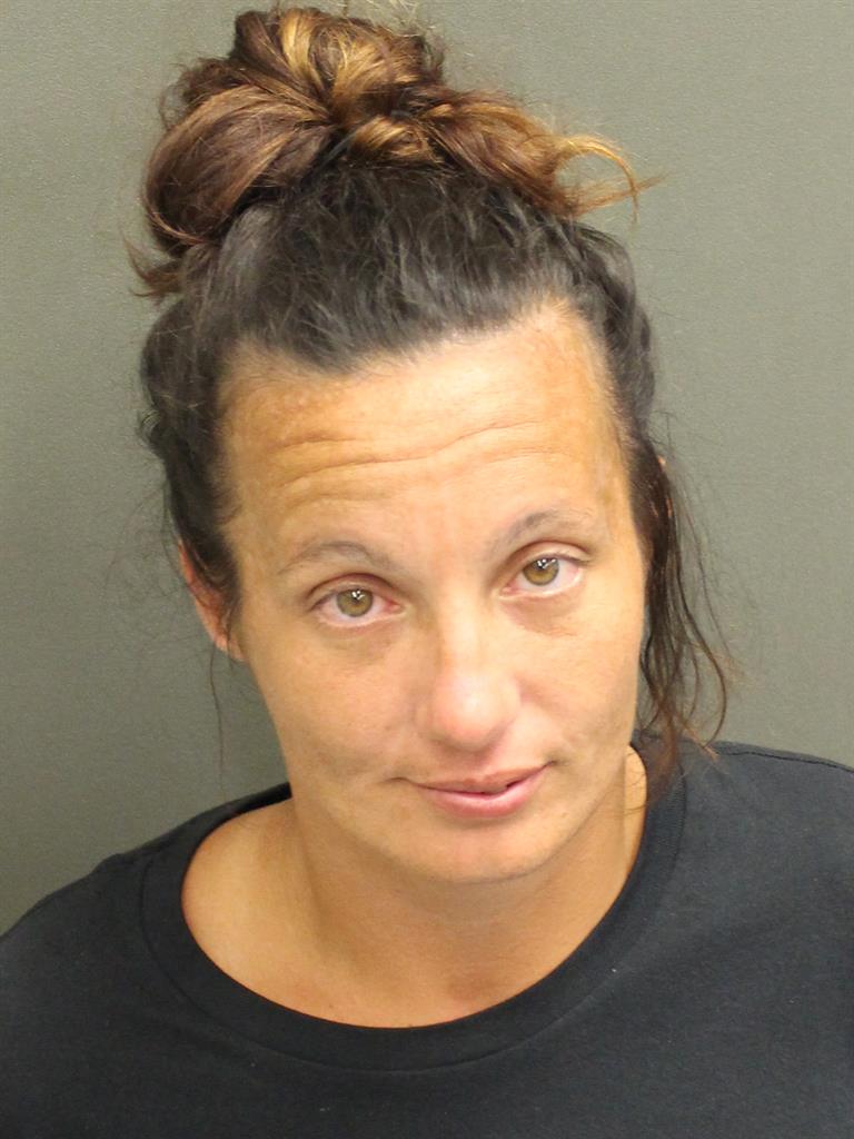  THERESA LYNN TAGTMEIR Mugshot / County Arrests / Orange County Arrests