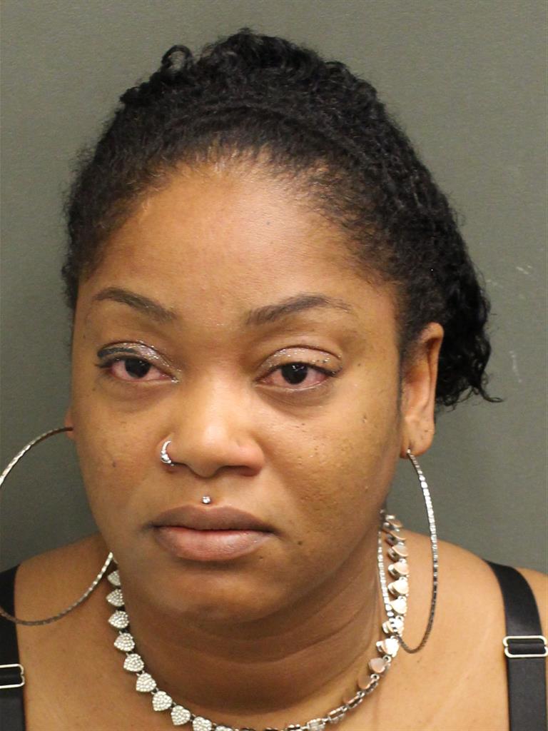 DANIA E BEAUSSEJOUR Mugshot DANIA E BEAUSSEJOUR Mugshot / County Arrests / Orange County Arrests