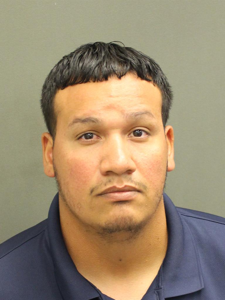  ANTHONY LUIS JR SEISE Mugshot / County Arrests / Orange County Arrests