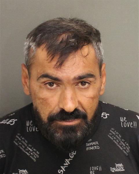  NACOLAE CONSTANTIN Mugshot / County Arrests / Orange County Arrests