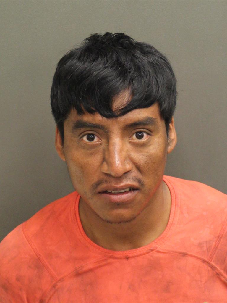  FREDIBEL RAMIREZPEREZ Mugshot / County Arrests / Orange County Arrests