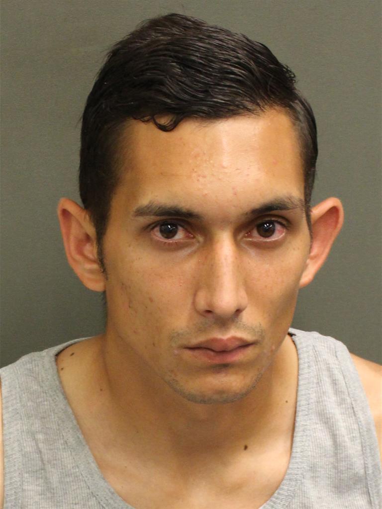  CRISTHIAN JULIO DELAVEGAALFARO Photo Image