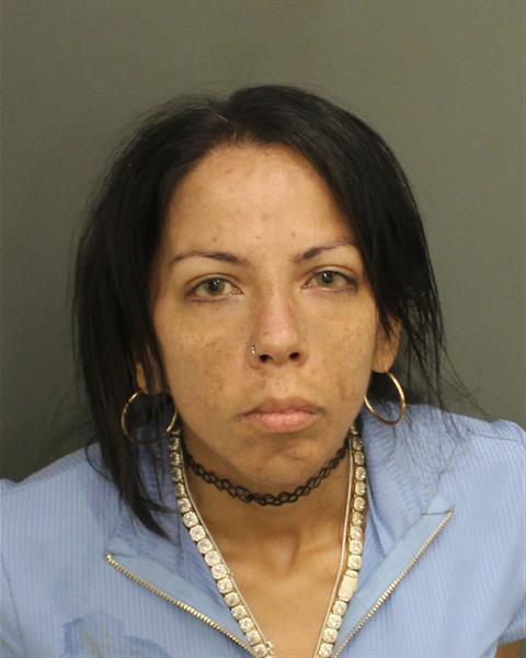  ANGELINE GARCIA CASTRO Mugshot / County Arrests / Orange County Arrests