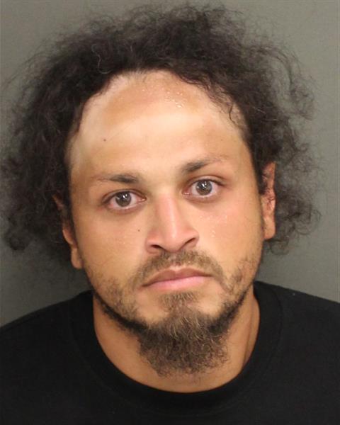  DANIEL ROSARIO Mugshot / County Arrests / Orange County Arrests