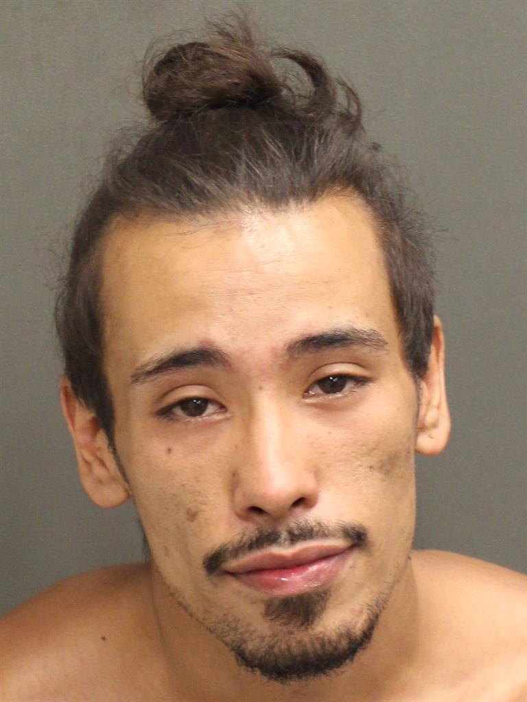 CHARLES JOSE REYES Mugshot CHARLES JOSE REYES Mugshot / County Arrests / Orange County Arrests