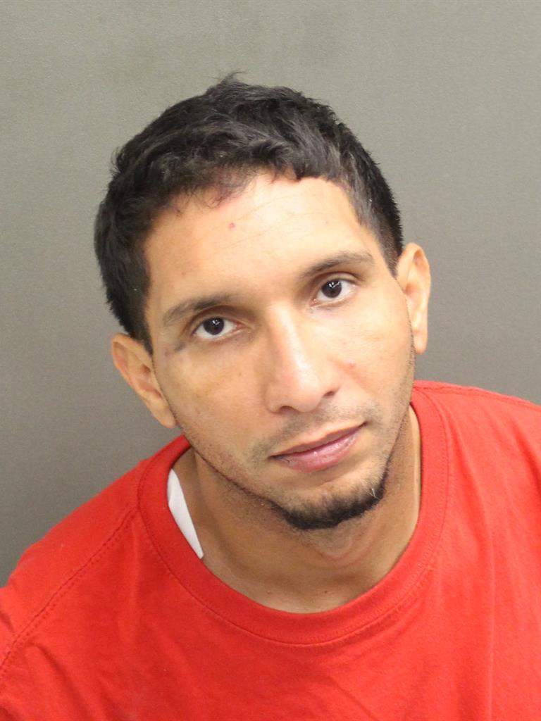  CAMERMELO RICARDO PAGANMORALES Mugshot / County Arrests / Orange County Arrests