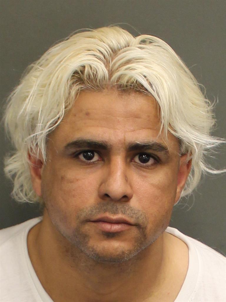  JUNIOR VILLA Photo Image