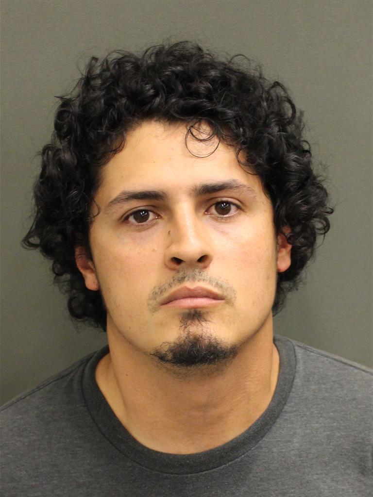  LEONEL ALEJANDRO BANUELOSTAVARES Mugshot / County Arrests / Orange County Arrests