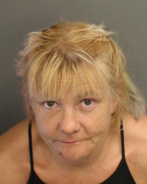  JULIE CAROL DORT Mugshot / County Arrests / Orange County Arrests
