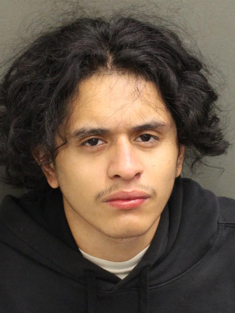  RAUL RAMIREZ Mugshot / County Arrests / Orange County Arrests