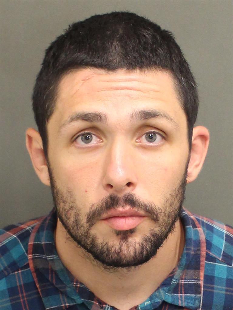  TYLER BLAKE MCGEE Mugshot / County Arrests / Orange County Arrests