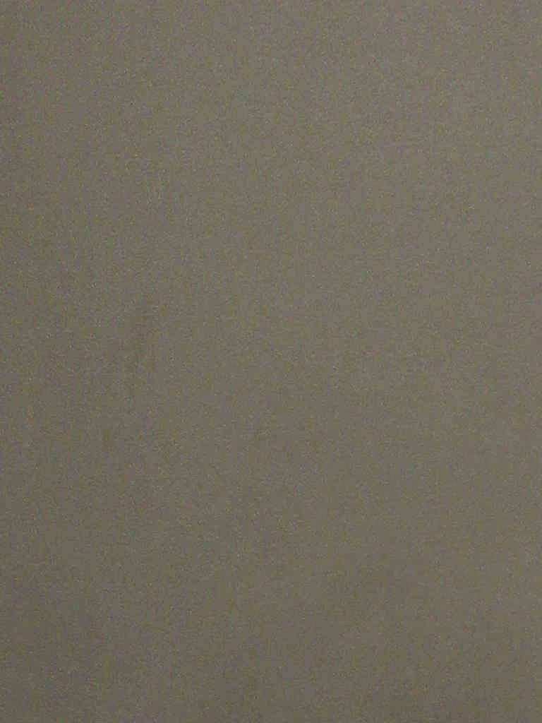  NELSON  JR TAVAREZ Photo Image