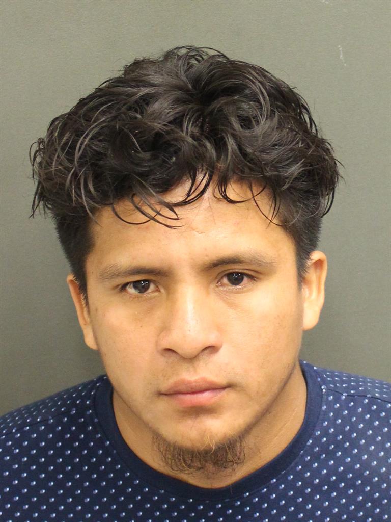  NICOLAS CAALLOPEZ Mugshot / County Arrests / Orange County Arrests
