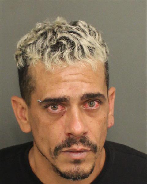  FABRICIO MAGNO DASILVADEFREITAS Mugshot / County Arrests / Orange County Arrests