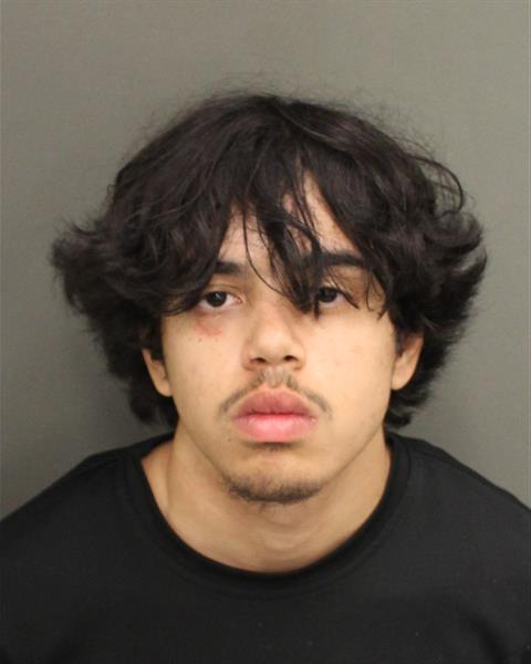  PRECYST ROSA Mugshot / County Arrests / Orange County Arrests
