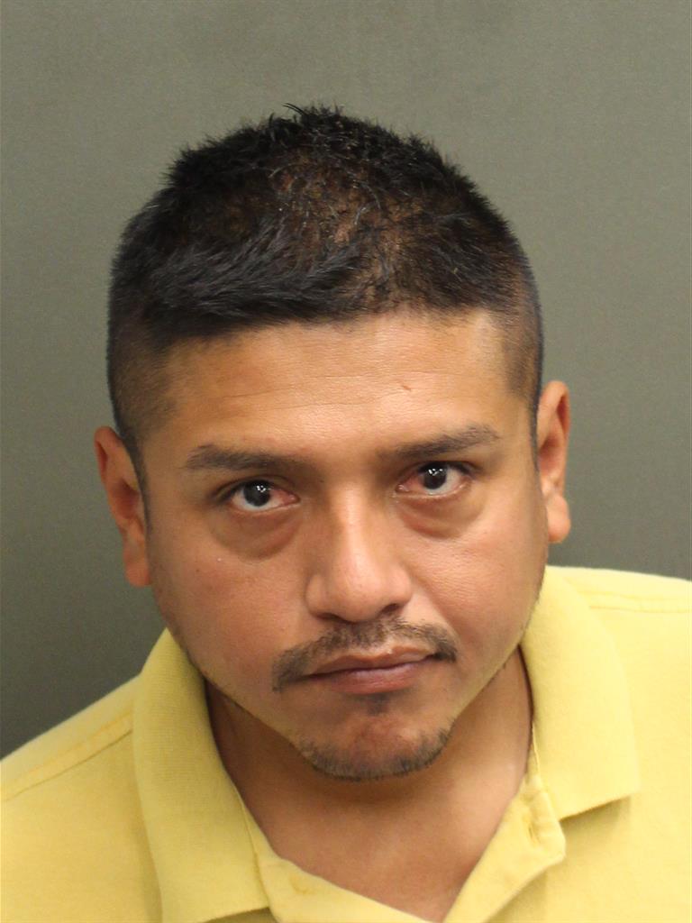  JOSE VERGARAPALACIOS Mugshot / County Arrests / Orange County Arrests